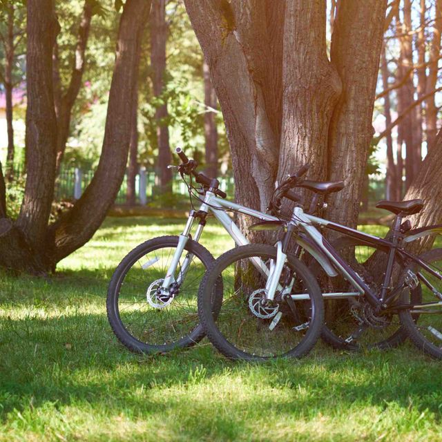 bicicletas en parque